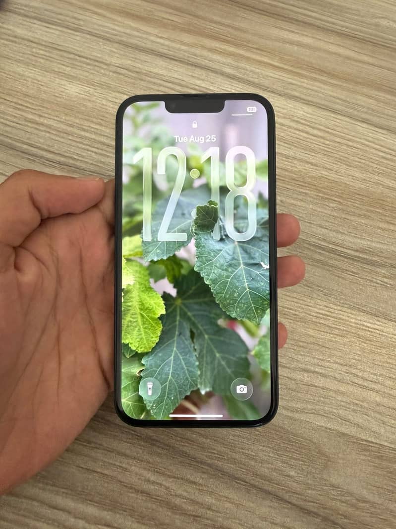 Apple iPhone 14 0
