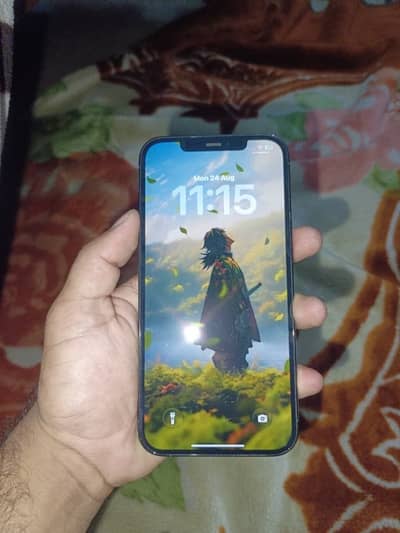 Apple iPhone 12 Pro Max