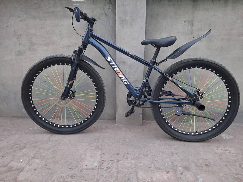 bicycle 2
