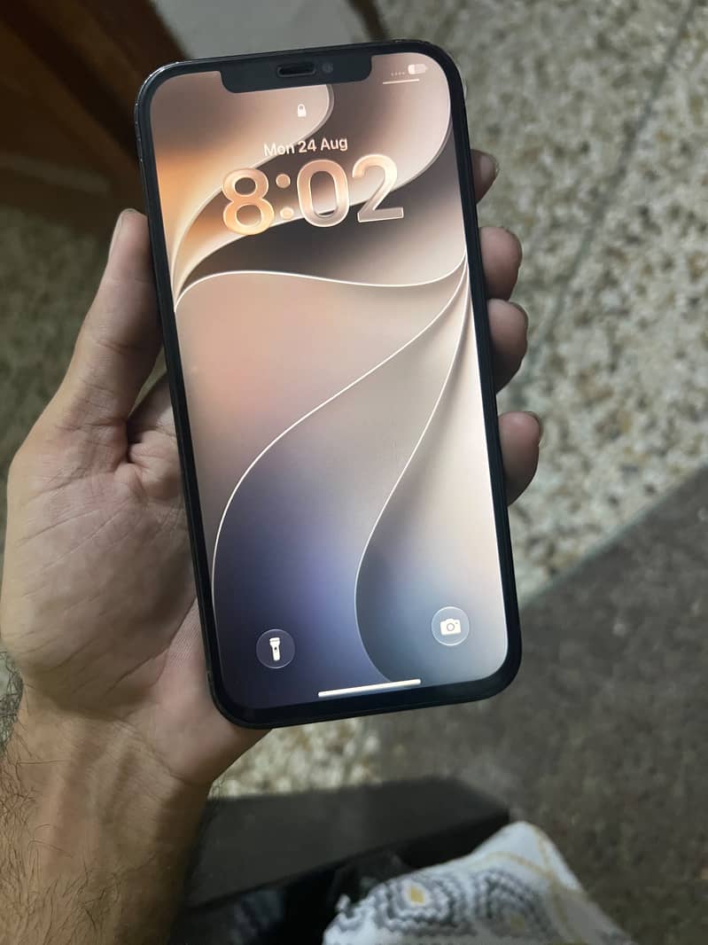Apple iPhone 12 Pro Max 2