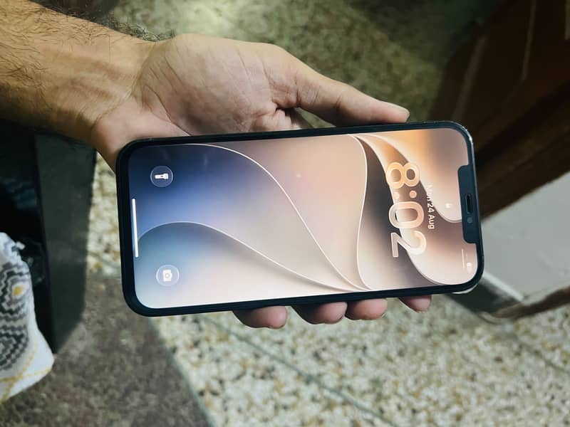 Apple iPhone 12 Pro Max 5