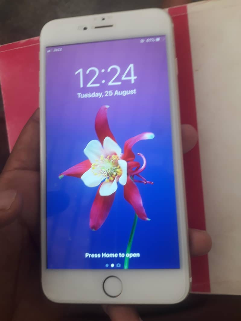 Apple iPhone 6 plus 1