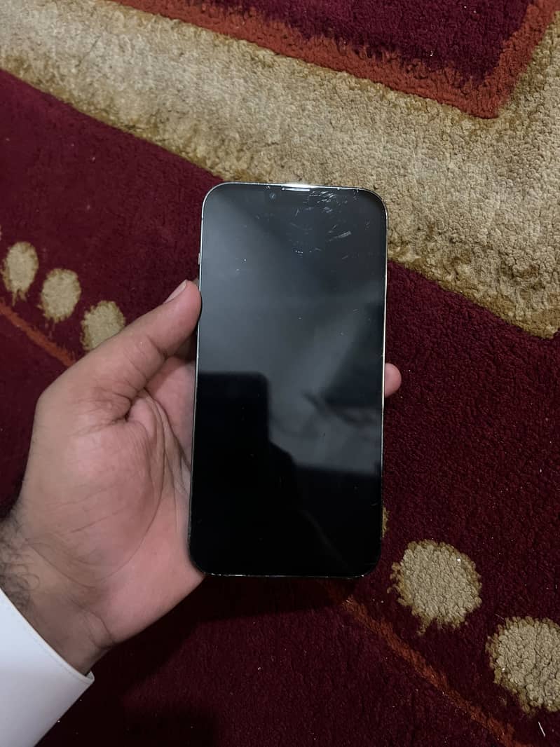 Apple iPhone 13 Pro Max 2
