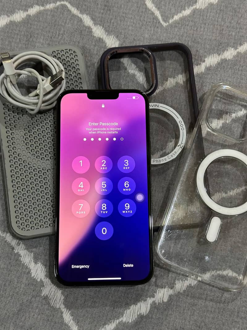 Apple iPhone 13 Pro Max 1
