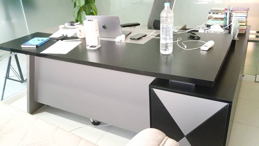 Executive Table and sofas 1