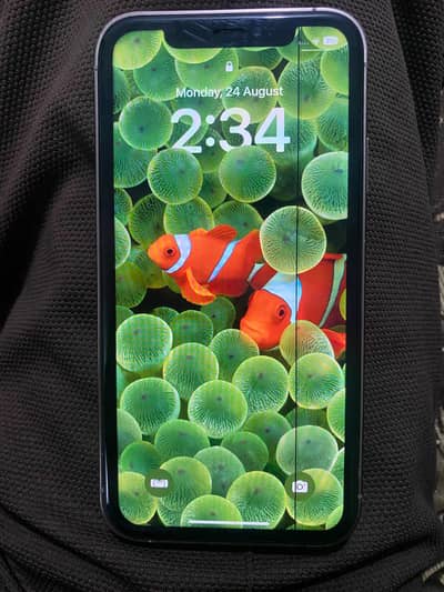 Apple iPhone XR