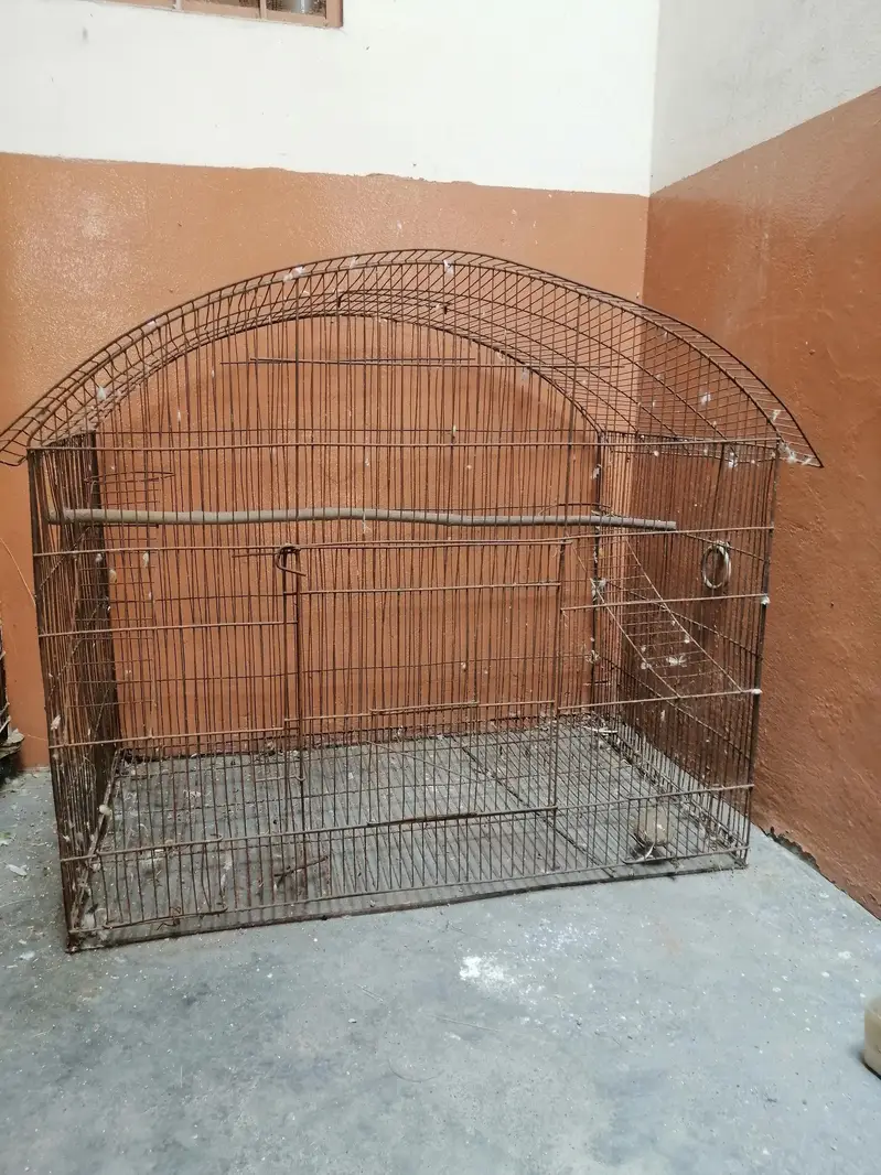 1 piece lovebird with cage — photo 2