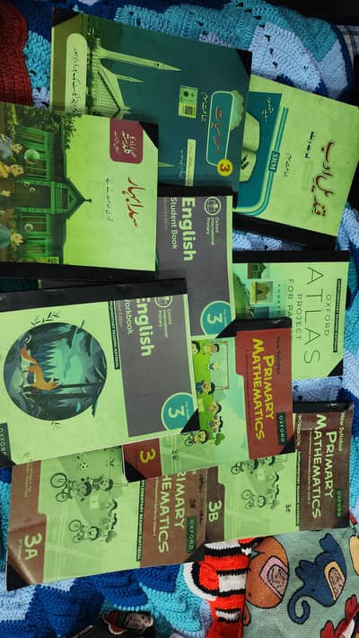 The City School Class 3 books