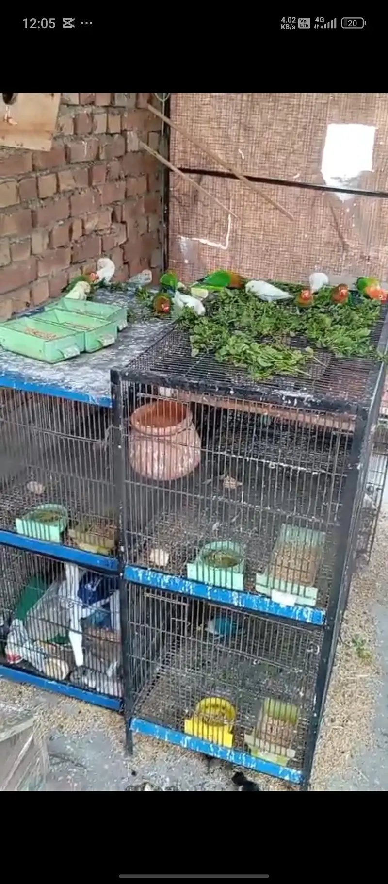 4 Portion Iron Cages For sale — photo 2