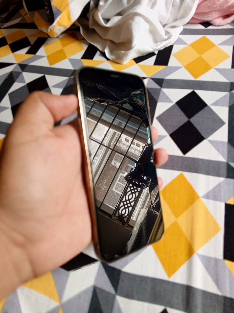 Apple iPhone 12 Pro Max 2