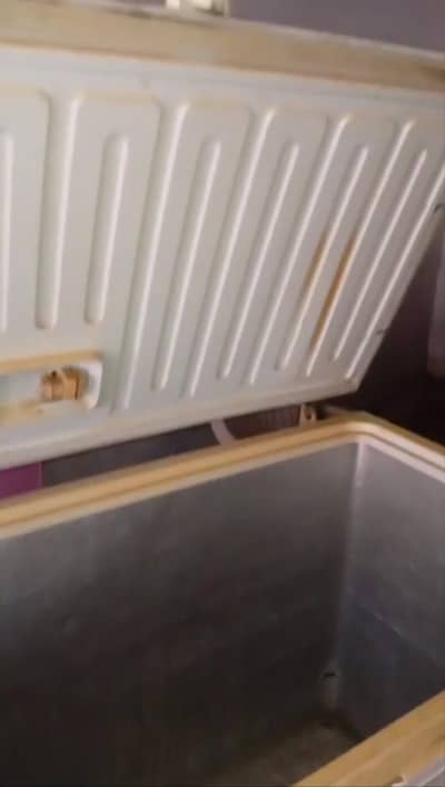 Deep Freezer full size