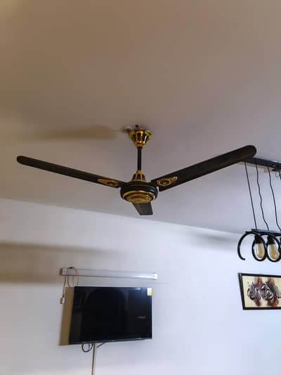 a pair of fans