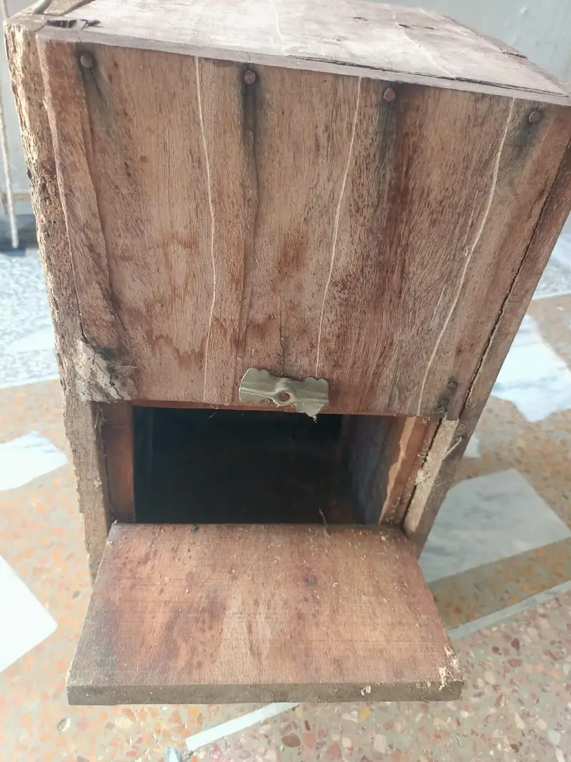wooden box for khata parrot — photo 3
