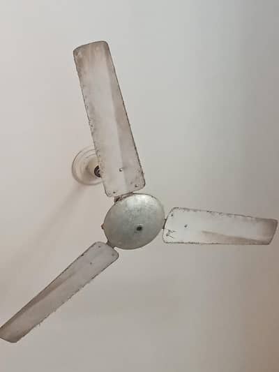celling fan heavy
