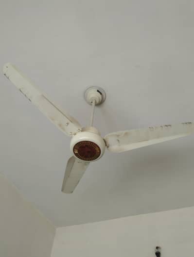 Sufi fan