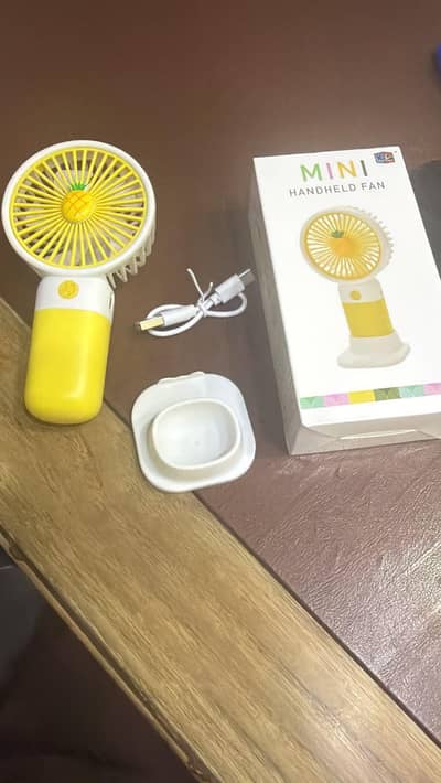 electric chargeable fan