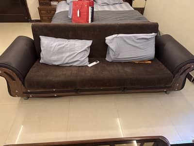 Sofa Cum Bed moldy form