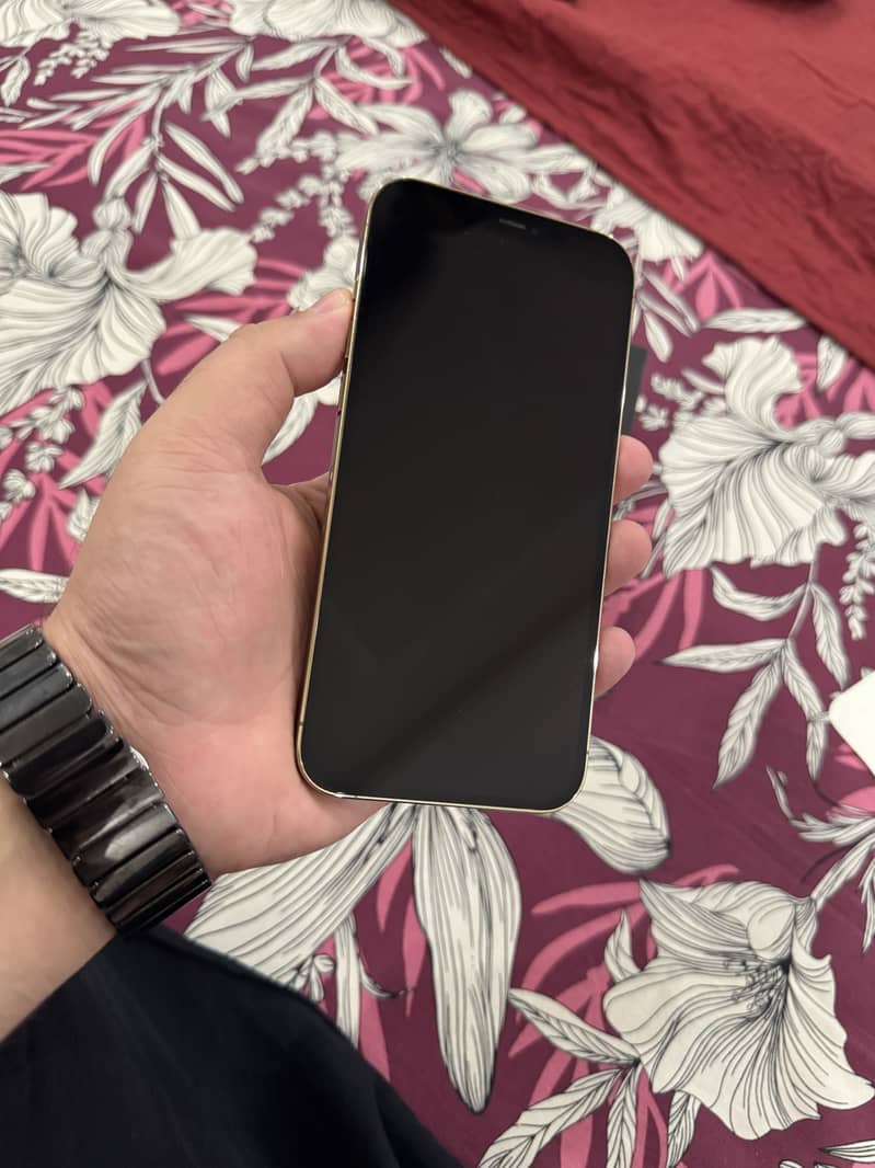 Apple iPhone 12 Pro Max 1