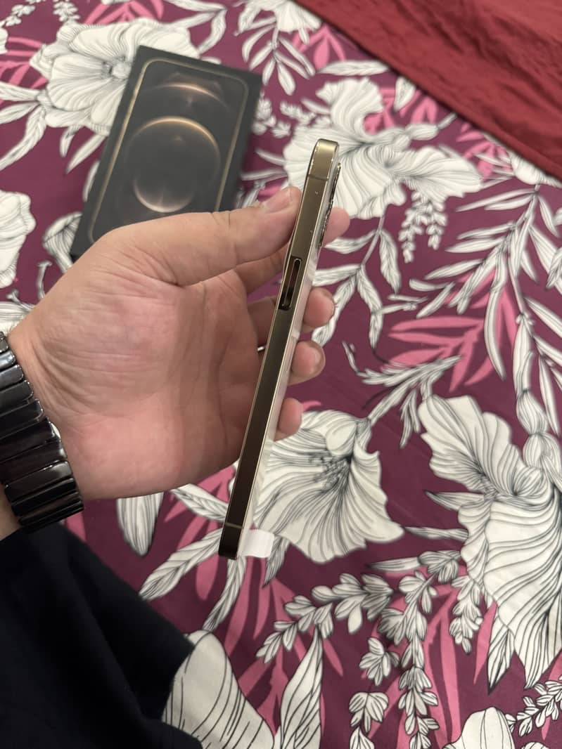 Apple iPhone 12 Pro Max 2