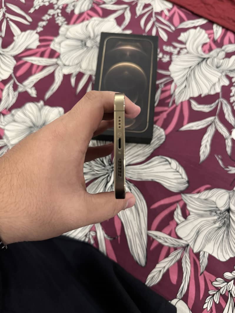 Apple iPhone 12 Pro Max 5