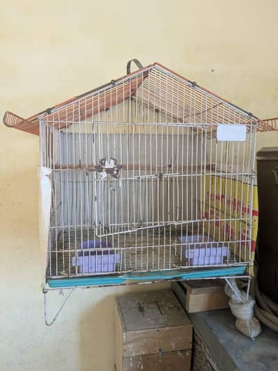 Bird Cages