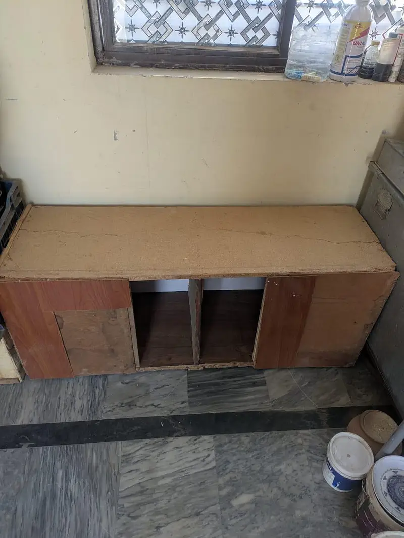 Bird Cages — photo 3