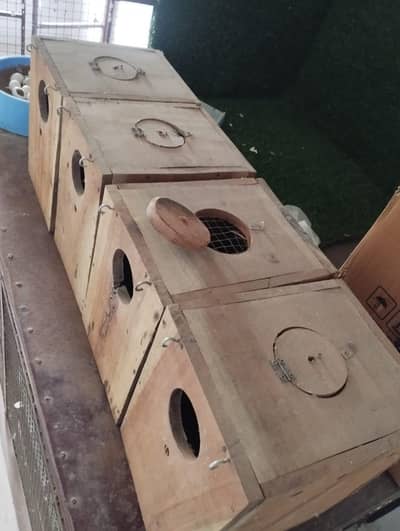 breeding box