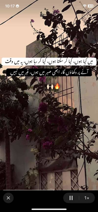 Hassan 