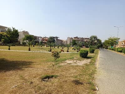 This Is Your Chance To Buy Agricultural Land In Painsra - Gojra Road Faisalabad