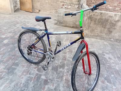 Original PHOENIXE Cycle with gair.