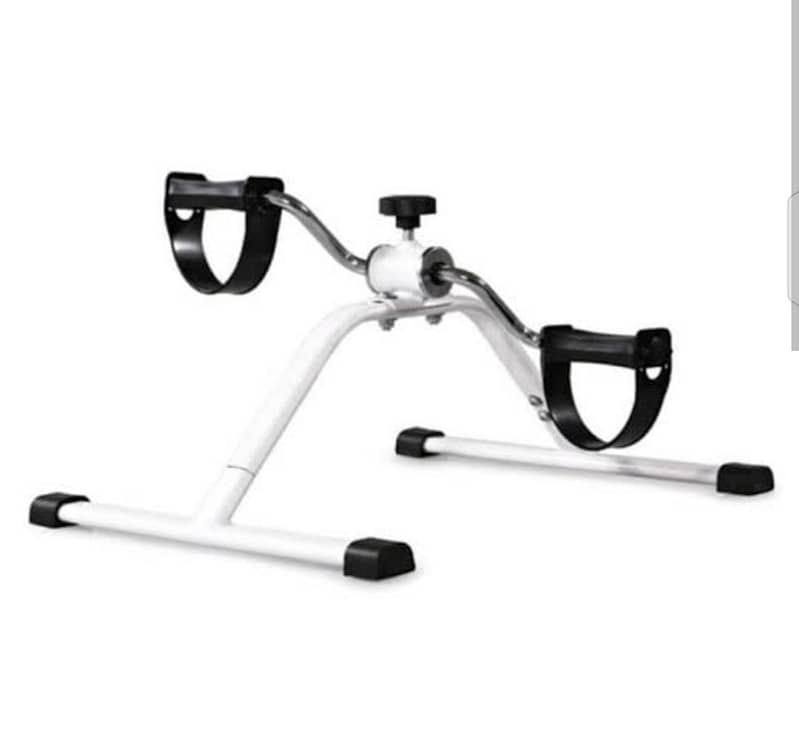 exercise mini bike 1