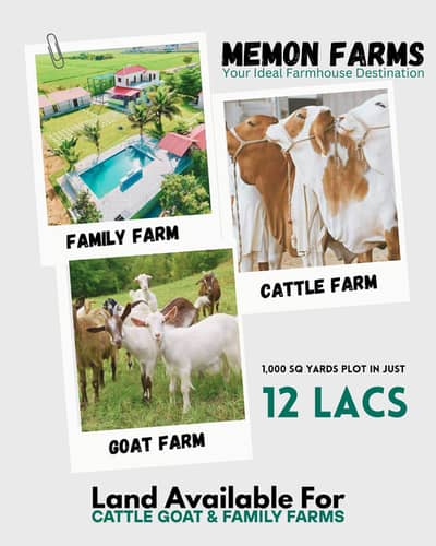 CATTLE FARM LAND