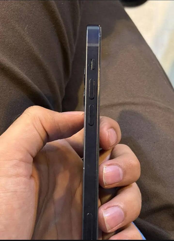 Apple iPhone 12 1
