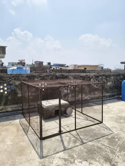 8x8 ft Huge Breeding Setup / Cage (Urgent Sale)