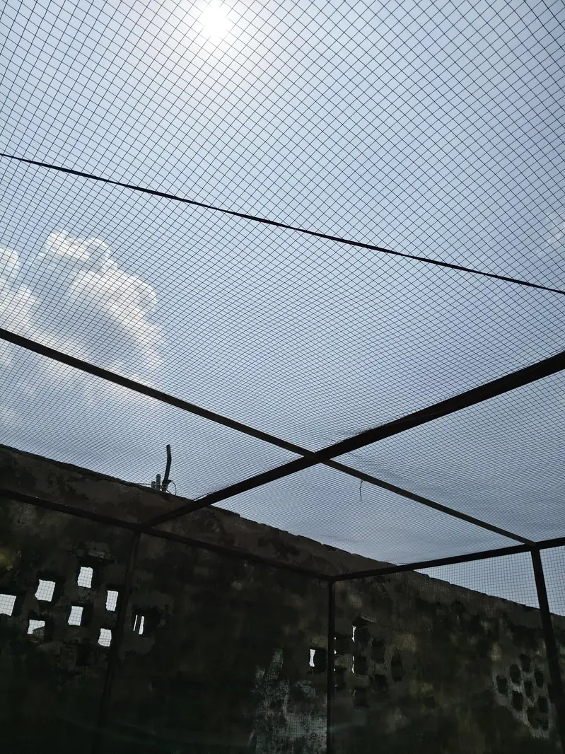 8x8 ft Huge Breeding Setup / Cage (Urgent Sale) — photo 2