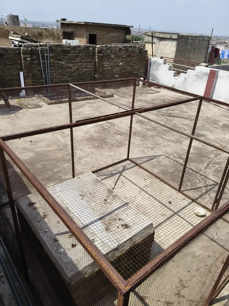 8x8 ft Huge Breeding Setup / Cage (Urgent Sale) — photo 3