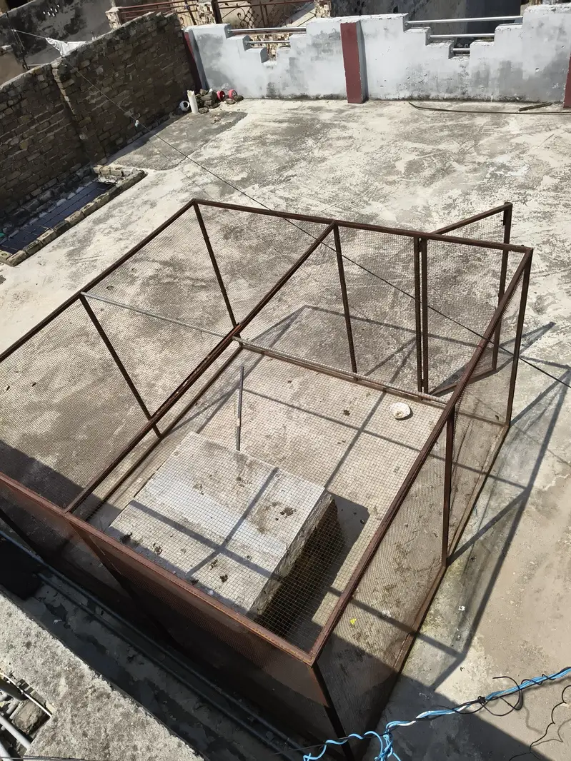 8x8 ft Huge Breeding Setup / Cage (Urgent Sale) — photo 4
