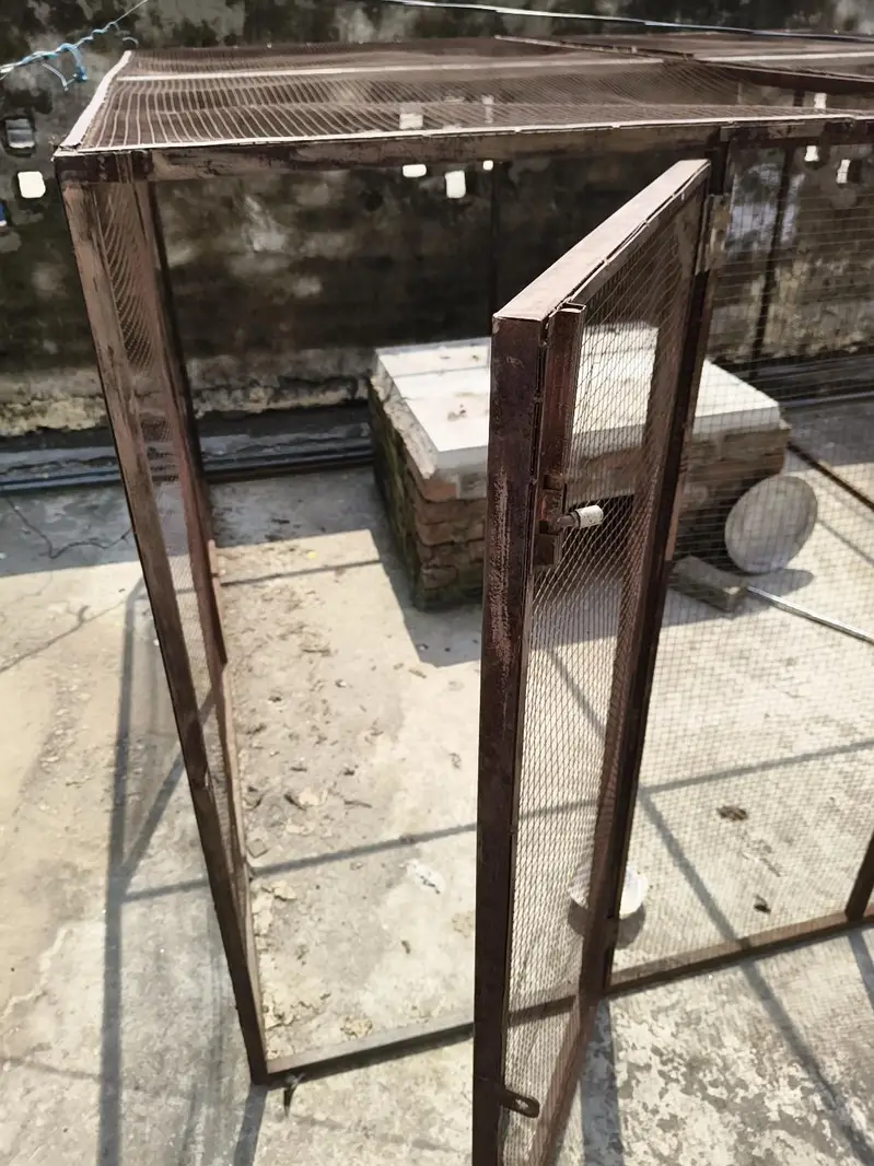 8x8 ft Huge Breeding Setup / Cage (Urgent Sale) — photo 7