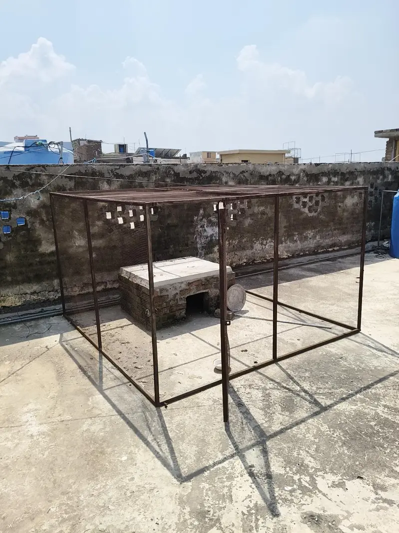 8x8 ft Huge Breeding Setup / Cage (Urgent Sale) — photo 8