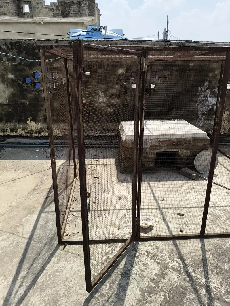 8x8 ft Huge Breeding Setup / Cage (Urgent Sale) — photo 9