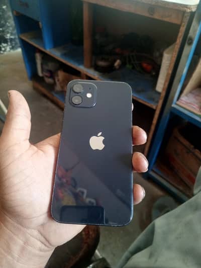 Apple iPhone 12