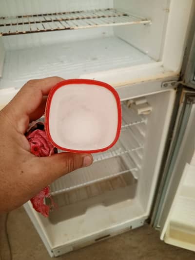 Fridge (Two Doors)
