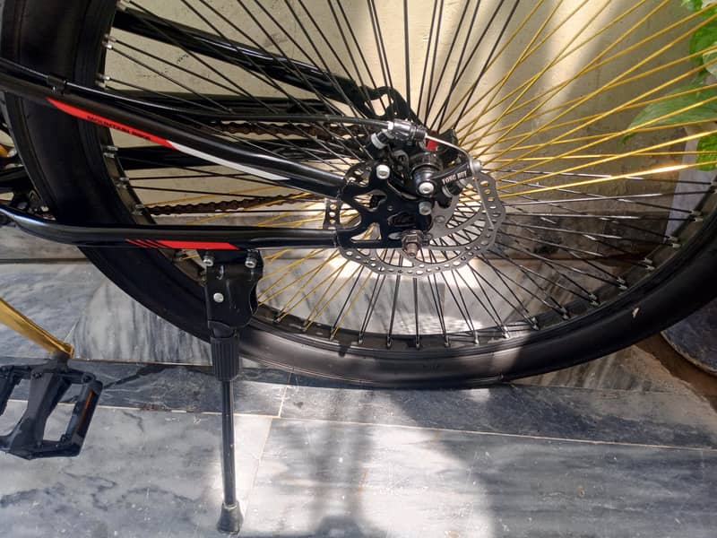 Morgan cycle 4