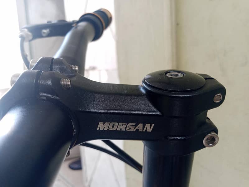 Morgan cycle 7