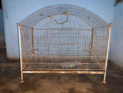 pinjra for sale