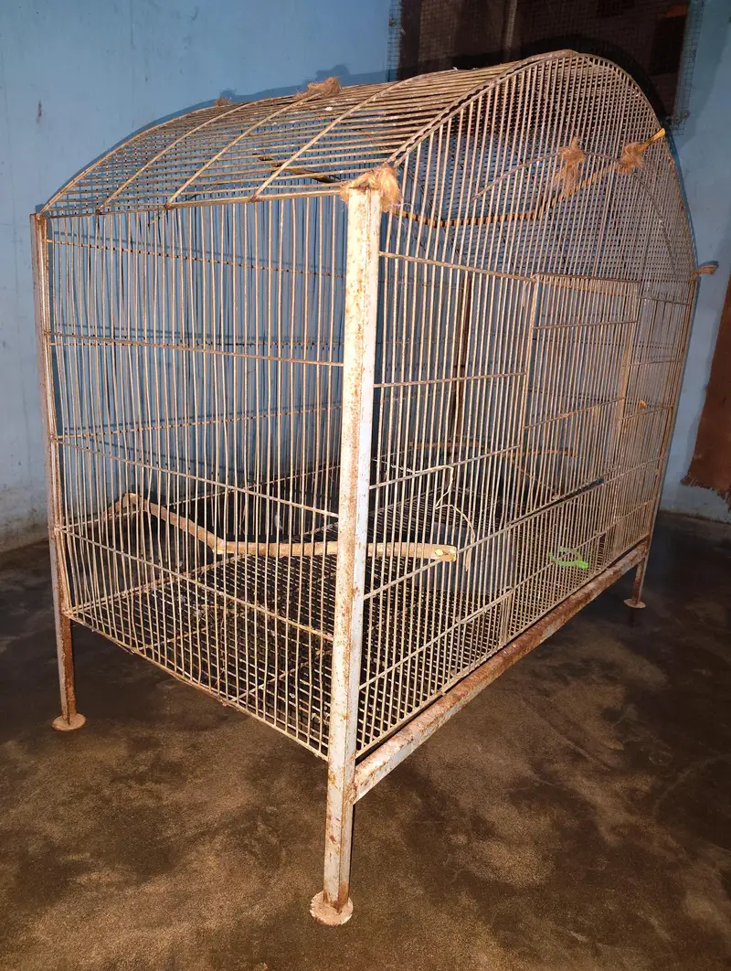 pinjra for sale — photo 2