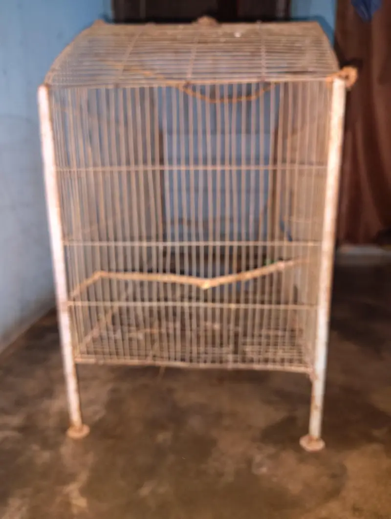pinjra for sale — photo 4