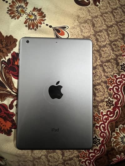 iPad mini 2