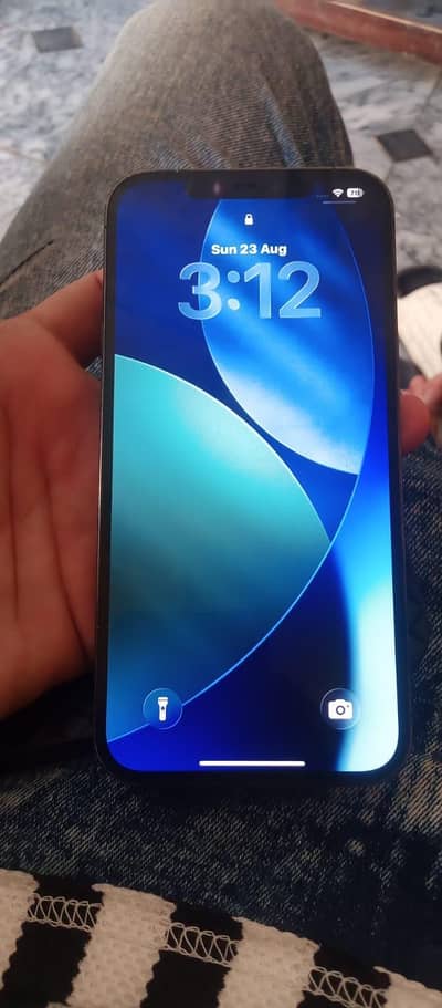 Apple iPhone 12 Pro Max