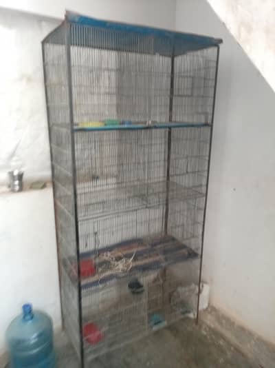 new condition